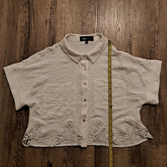 Alice Blue - White Lace-Hem Cropped Button-Up Shortsleeve Top - Picture 4 of 6